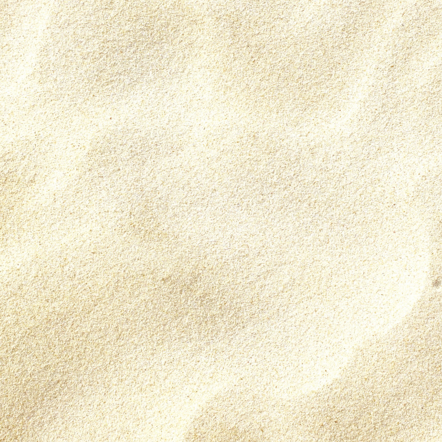 パラオ産白砂